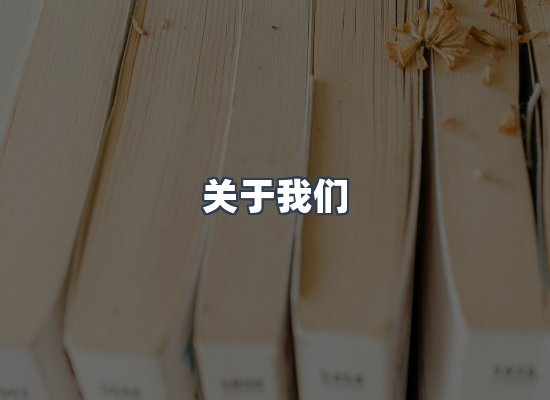 专业团队